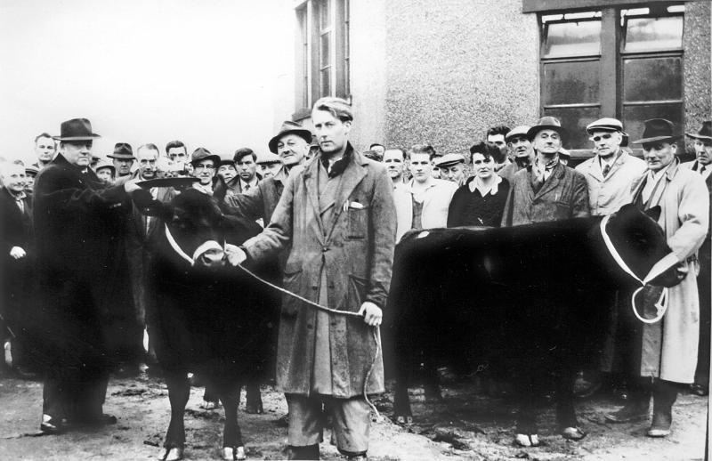 Long Presto Cattle Market - John Mellin.jpg - Long Preston Cattle Market.